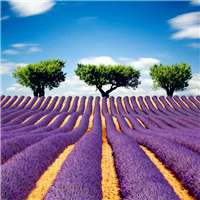 高清好看的唯美意境风景美图