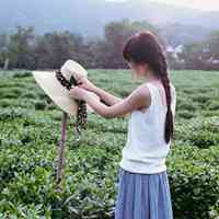 好看的森系唯美女生头像图片