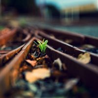 好看适合做微信头像的美丽图片