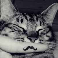 个性创意满满可爱小胡子