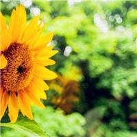 高清好看的唯美意境风景美图