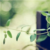 高清好看的唯美意境风景美图