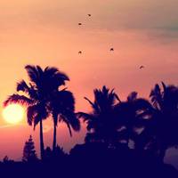 微信头像风景唯美阳光