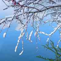 微信头像雪景图片大全