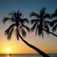 微信头像风景唯美阳光