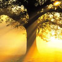 微信头像风景意境_高清有意境的唯美风景