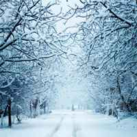 好看适合做微信头像的美丽图片