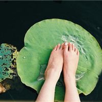 静物静景唯美头像