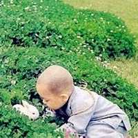 光头小和尚头像_光头小和尚可爱萌萌哒