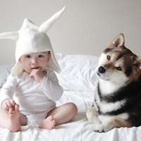 小孩和狗头像,萌宠与萌娃头像图片