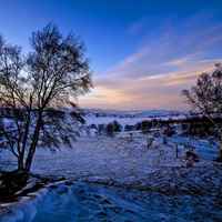 微信头像雪景图片大全
