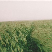 静物静景唯美头像