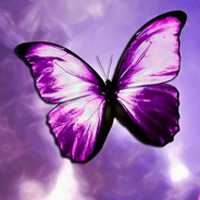 蝴蝶唯美头像 蝴蝶为花碎 花却随风飞