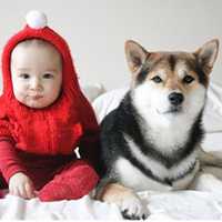 小孩和狗头像,萌宠与萌娃头像图片