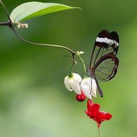 治愈系风景图片头像