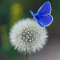 治愈系风景图片头像