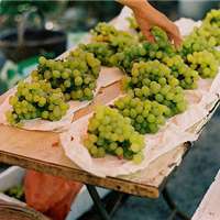 静物静景唯美头像