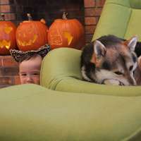 小孩和狗头像,萌宠与萌娃头像图片