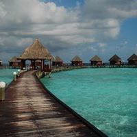 治愈系风景图片头像