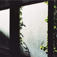 静物静景唯美头像