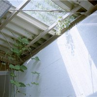 静物静景唯美头像