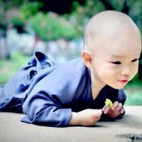 光头小和尚头像_光头小和尚可爱萌萌哒