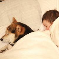 小孩和狗头像,萌宠与萌娃头像图片