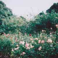 高清好看的唯美意境风景美图