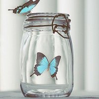 唯美好看有意境的瓶子