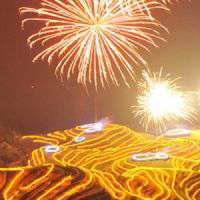 微信烟花头像 绚丽烟花美景