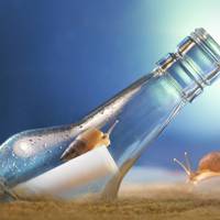 微信漂流瓶头像图片