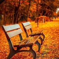 好看适合做微信头像的美丽图片