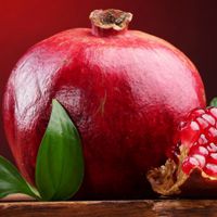 小清新水果头像_颜色好看的小清新水果