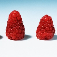 小清新水果头像_颜色好看的小清新水果