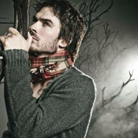 达蒙塞尔瓦托头像图片