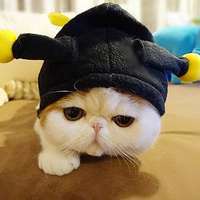 红小胖snoopy头像图片大全