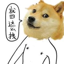 神烦狗微信头像