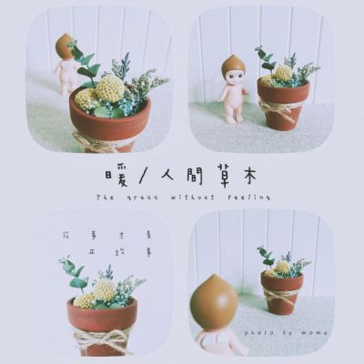 微信头像唯美意境静物