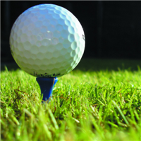 高尔夫球头像 高尔夫爱好者