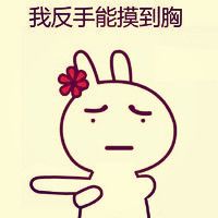 无节操带字头像 各种无节操各种恶搞