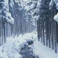 微信头像雪景图片大全