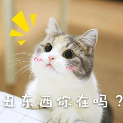 可爱小猫咪卖萌头像