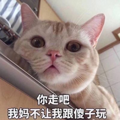 可爱小猫咪卖萌头像