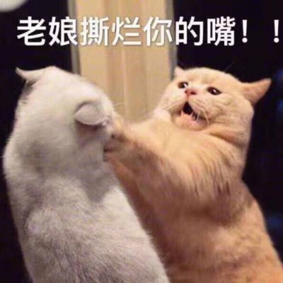 可爱小猫咪卖萌头像