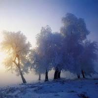微信头像雪景图片大全