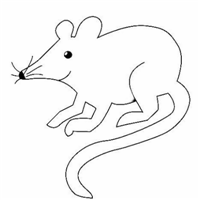 老鼠简笔画头像 可爱老鼠简笔画来一波