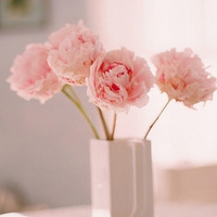 花朵头像小清新 最爱的小清新花儿