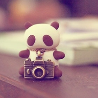 高清唯美相机头像图片