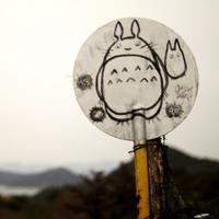 风景静物头像_生活中那些美好的风景静物