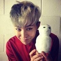 各种权志龙头像